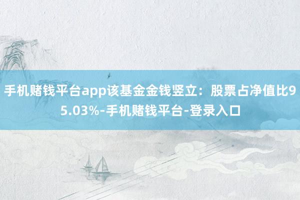 手机赌钱平台app该基金金钱竖立：股票占净值比95.03%-手机赌钱平台-登录入口