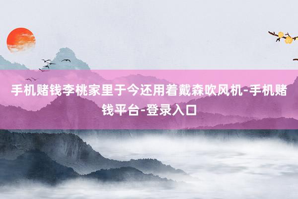 手机赌钱李桃家里于今还用着戴森吹风机-手机赌钱平台-登录入口