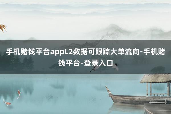 手机赌钱平台appL2数据可跟踪大单流向-手机赌钱平台-登录入口