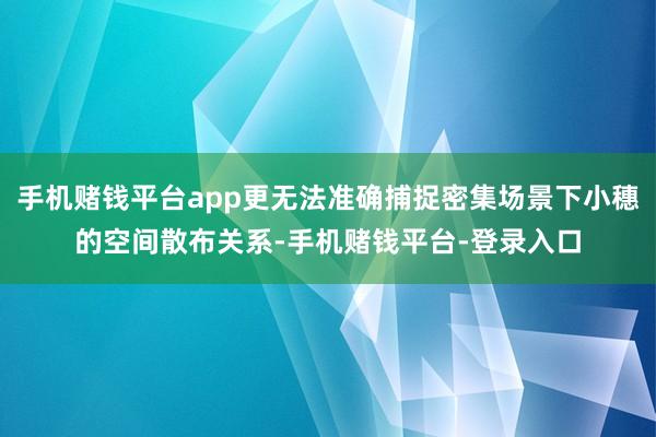 手机赌钱平台app更无法准确捕捉密集场景下小穗的空间散布关系-手机赌钱平台-登录入口