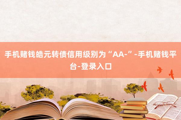 手机赌钱皓元转债信用级别为“AA-”-手机赌钱平台-登录入口