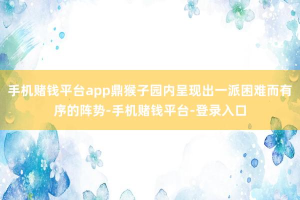 手机赌钱平台app鼎猴子园内呈现出一派困难而有序的阵势-手机赌钱平台-登录入口