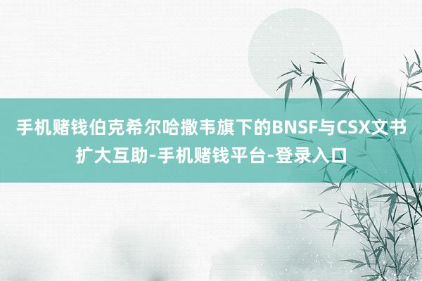手机赌钱伯克希尔哈撒韦旗下的BNSF与CSX文书扩大互助-手机赌钱平台-登录入口